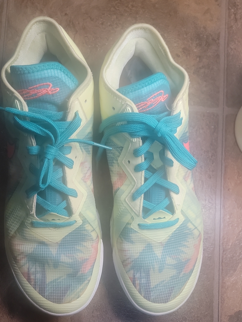 Nike LeBron 18 Low LeBronold Palmer Summer Refresh Basketball Men' 13 CV7562-300